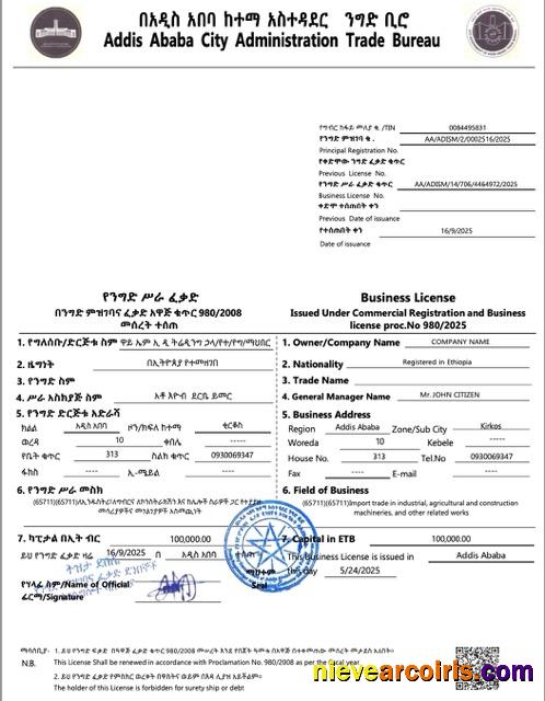 Ethiopia Addis Ababa business license, version 2